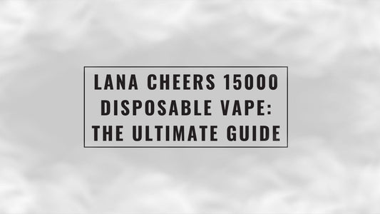 Lana Cheers 15000 Disposable Vape: The Ultimate Guide